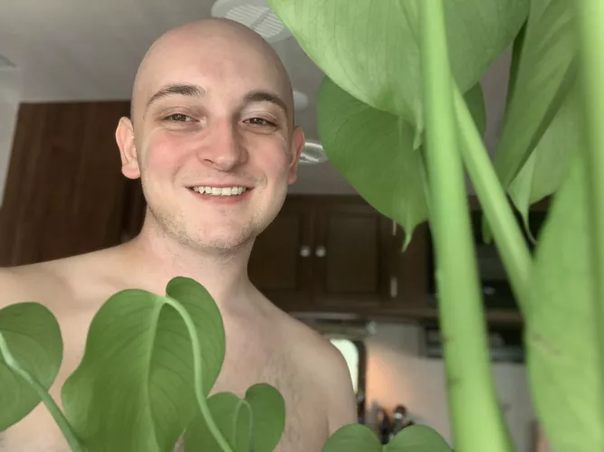 Turtwig gang rise up 🐢 🍃 by punyslicer