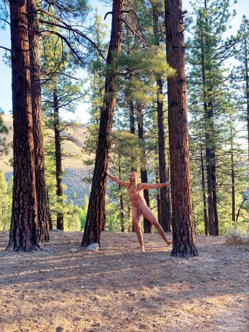 Twas a beautiful sunrise. LOVE a tree, or many 😂💚🙏🏼 by Goldengod17