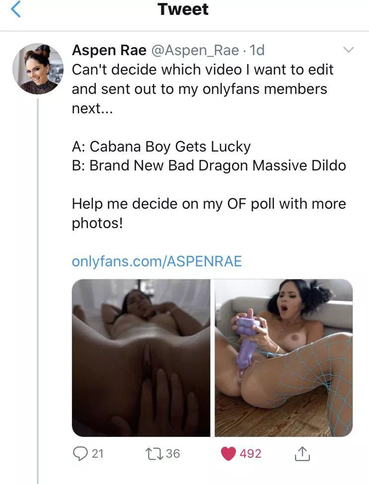 Tweet From Yesterday posted by InsaneB0lt