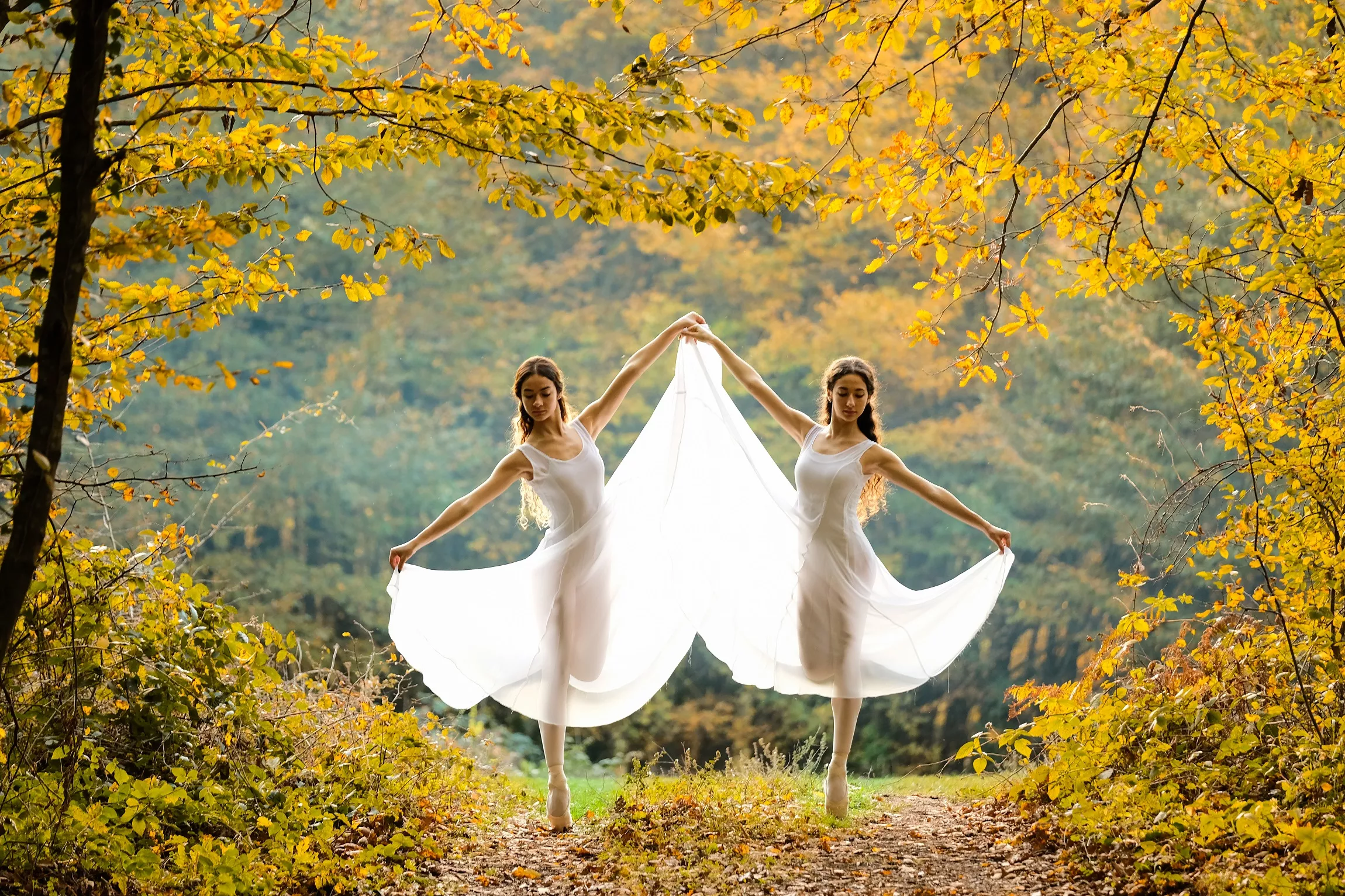 Twins posted by ghostofhumid