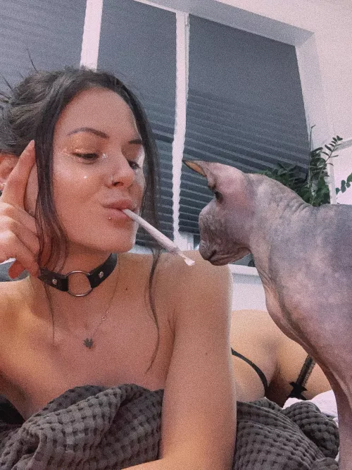 two cats 🐈‍⬛🤪 by taynn0