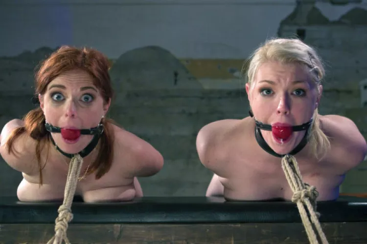 Two for one by Cl_dogs