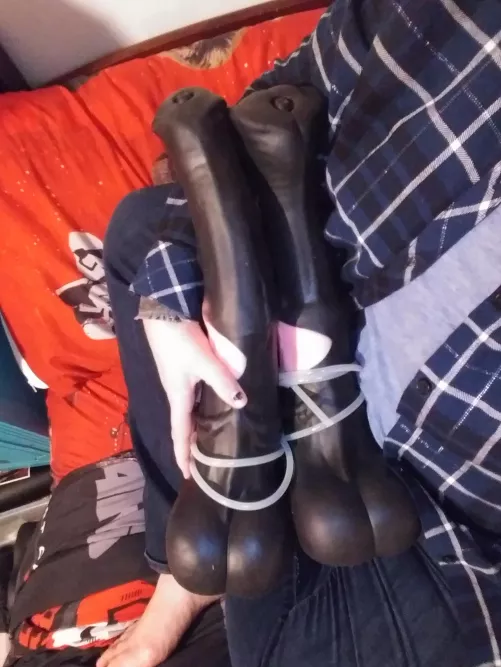 Two of my newest stallions... by Spiritual_Device_562