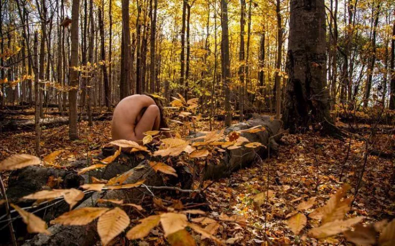 Typical canadian fall by modeladventurer