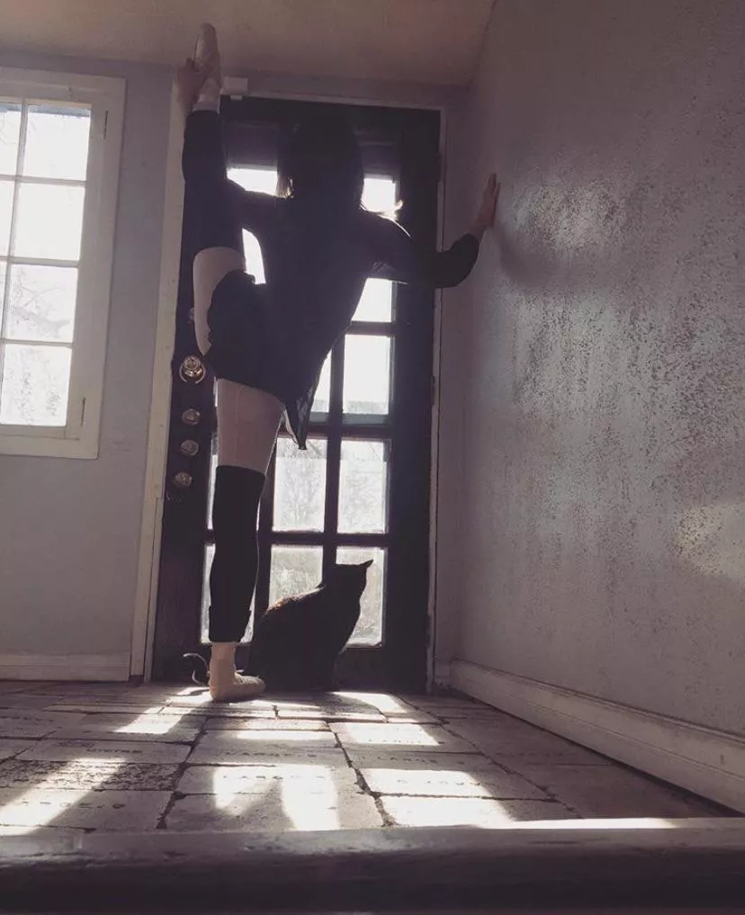 Typical day of a ballerina in quarantine, kitty decided to come say hi during the shoot 😊 posted by AelinxX