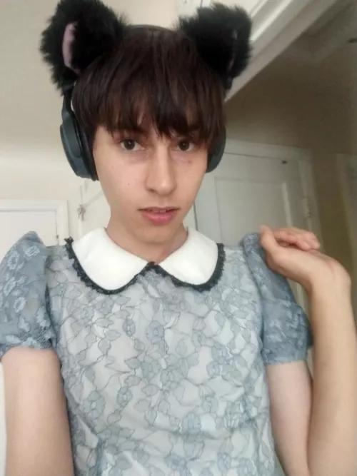 U come home to this kitty, do u give her head pats? 😸 by Dear-Ad-7074