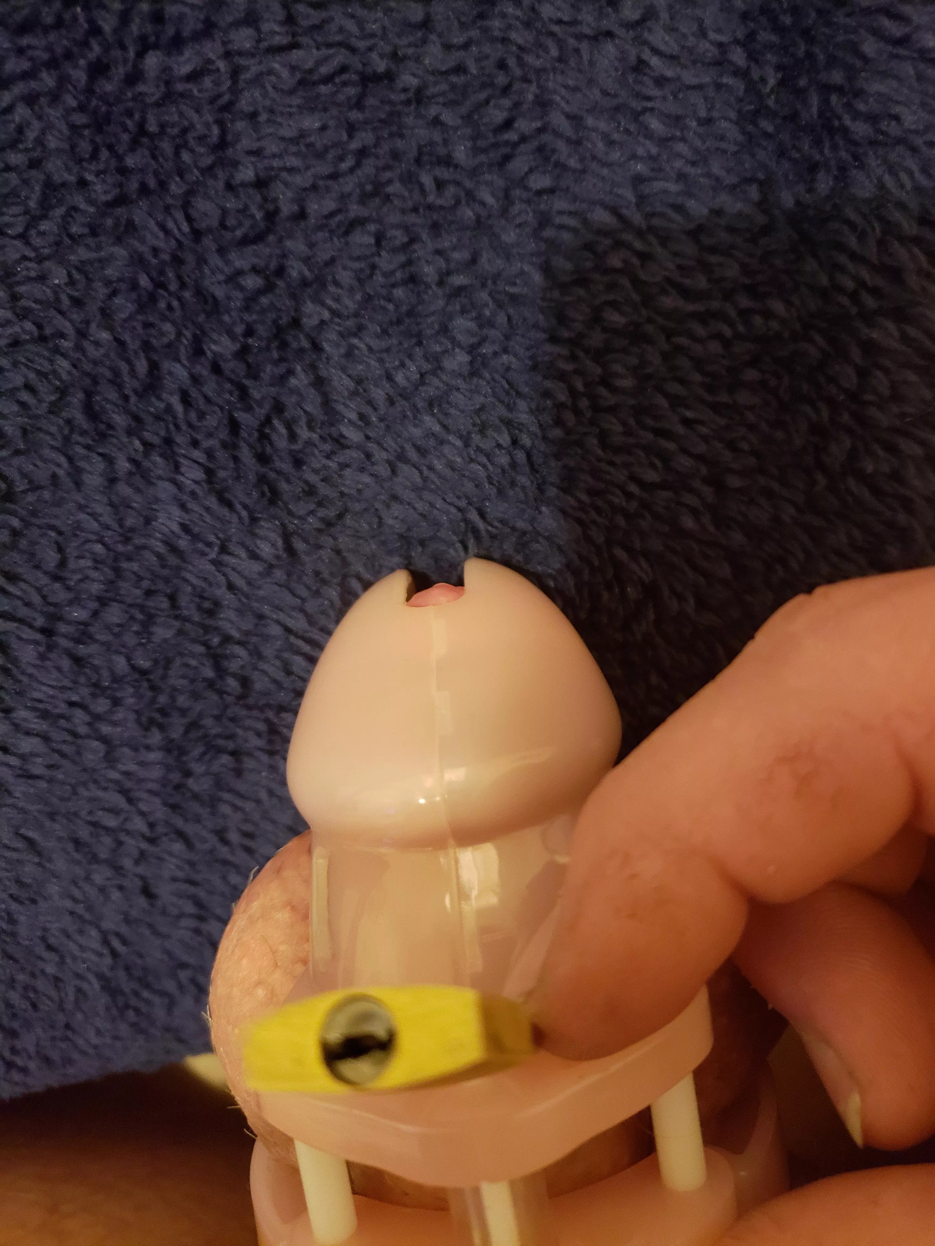 Uh oh sissies lock broke (slightly panicked) posted by pedsocklover