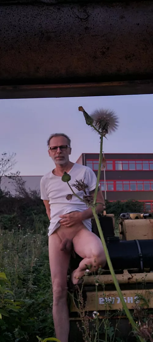 Ulrich flower by ullibult