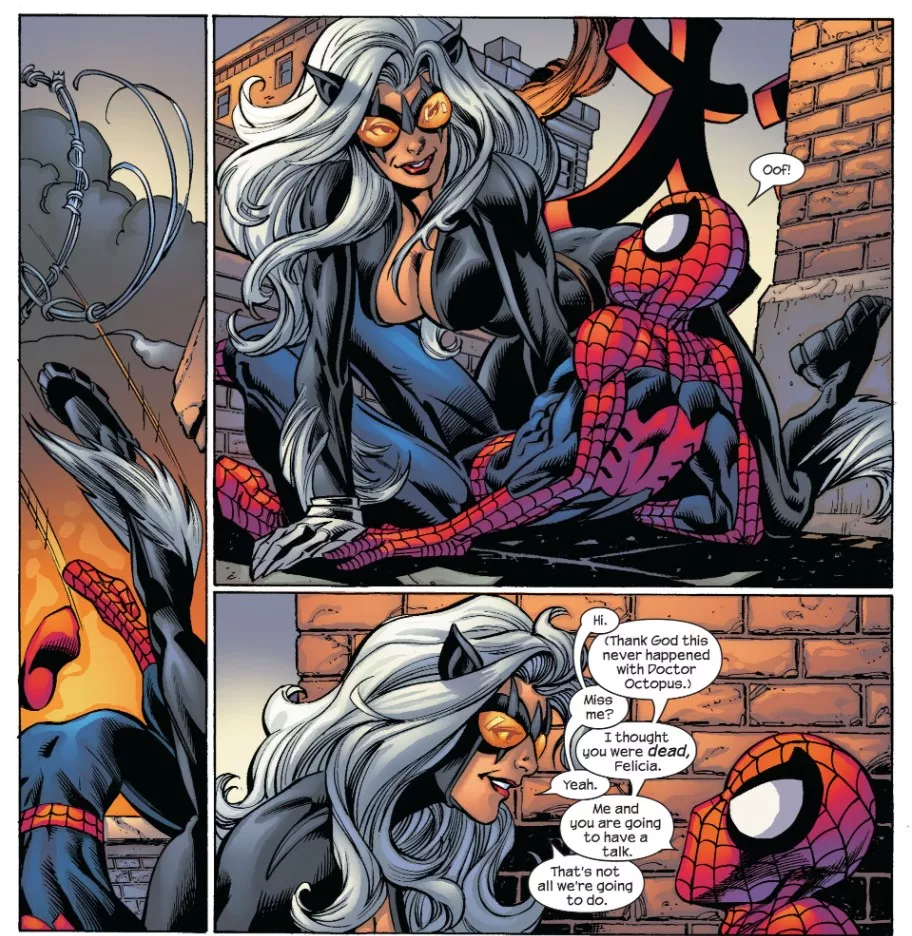 Ultimate Black Cat [Ultimate Spider-Man (2000) #82] posted by lordhater1