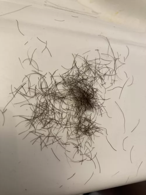 Under arm, legs, pubic hair 💇‍♀️ [selling] by Slam-Beesly