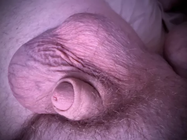 Unfluffed. [45] by Panzov2day