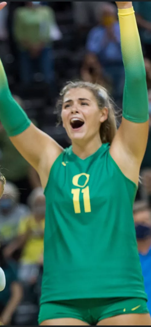 university kitty by DiggBickman