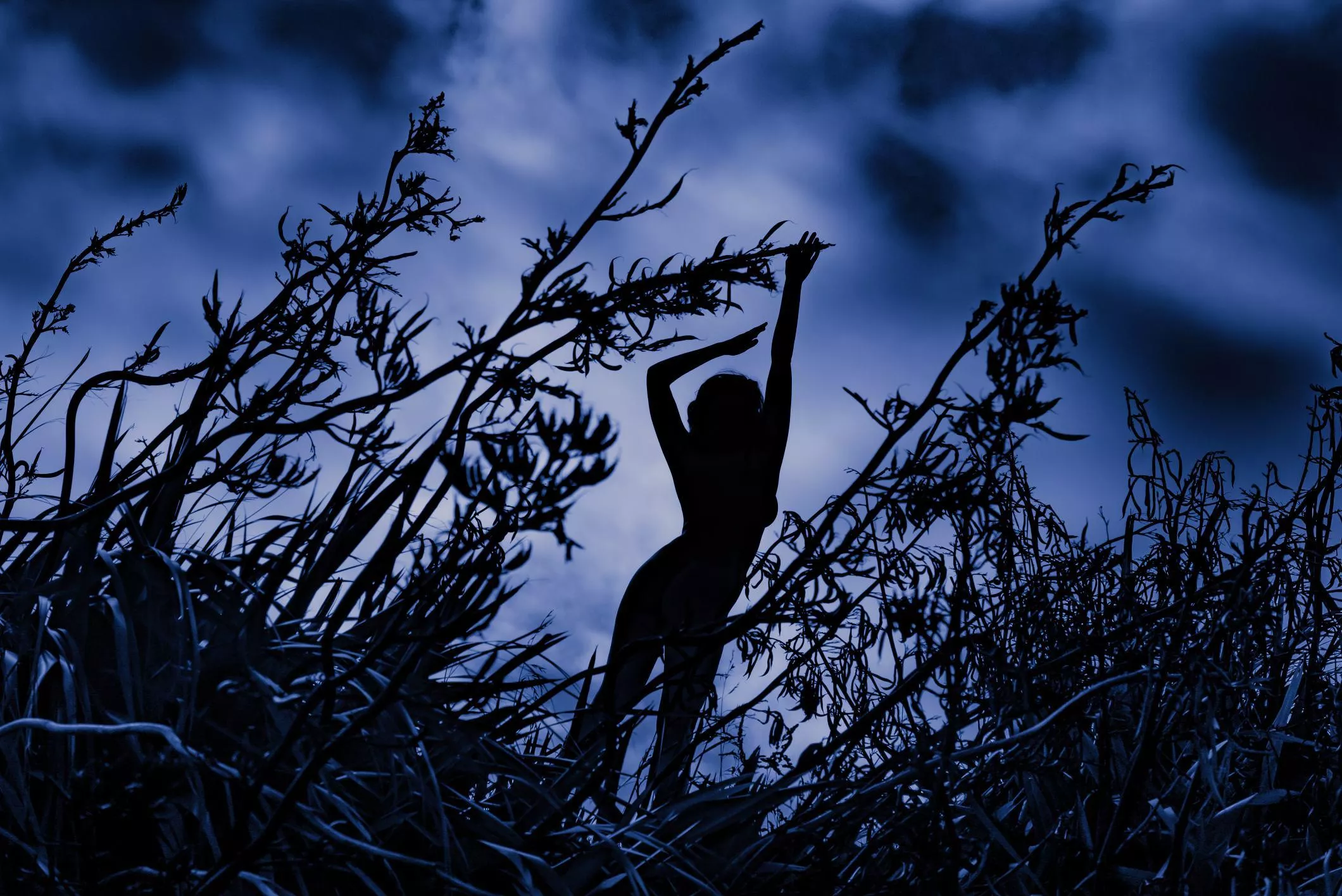 Untitled posted by Poseurs