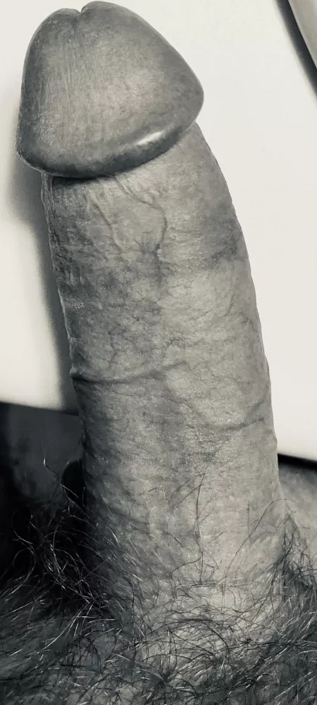 Up close and personal…….. by rj25321