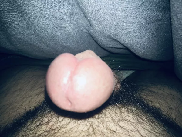 Up close and personal by PM_ME_YR_HAPPY_TRAIL