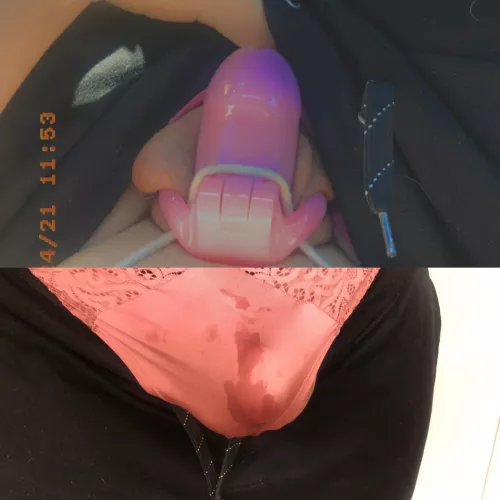 Update: my tasks so far today have made Sofia a little excited it looks like. She’s leaking like crazy 😂🥰 by Sissy-Trainer-XoXo