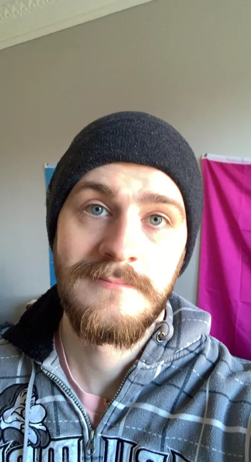 Update on the beard, it’s going great imo by Queer_Gaybould