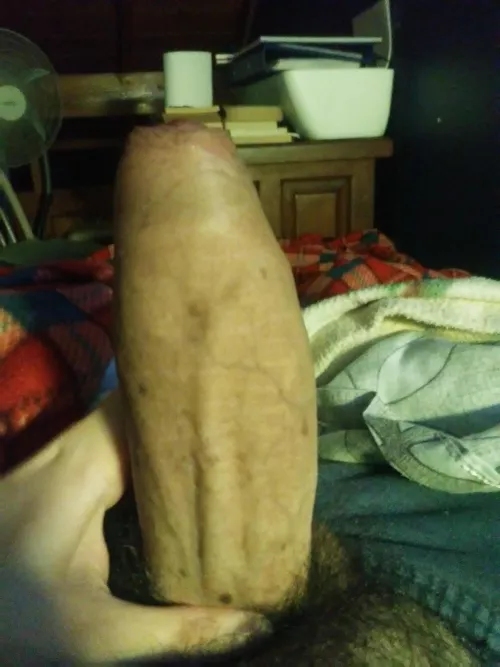 Upvote if you would suck it by LogicalVillage2