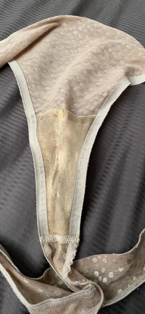 Upvote if you’d sniff my wife’s panties! 👃 by pirateship-1