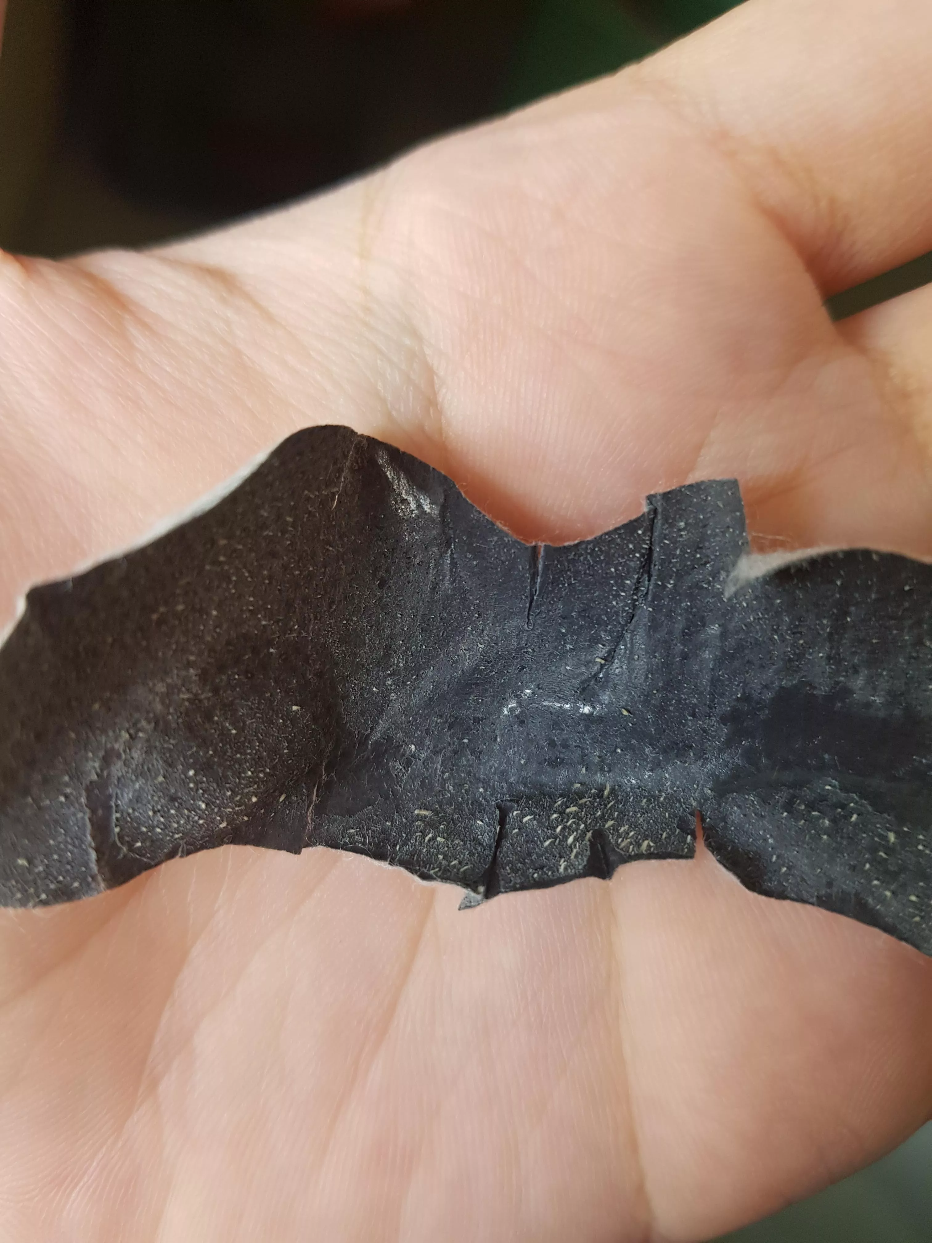 Used a pore strip after 3 months of not using one posted by wolfram127