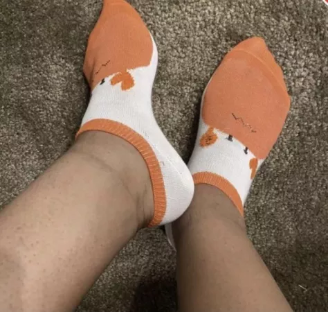 used stinky socks, US shipping only, I have plenty other styles and colors in my sock drawer, just ask. Kik leahboucher by mika7276