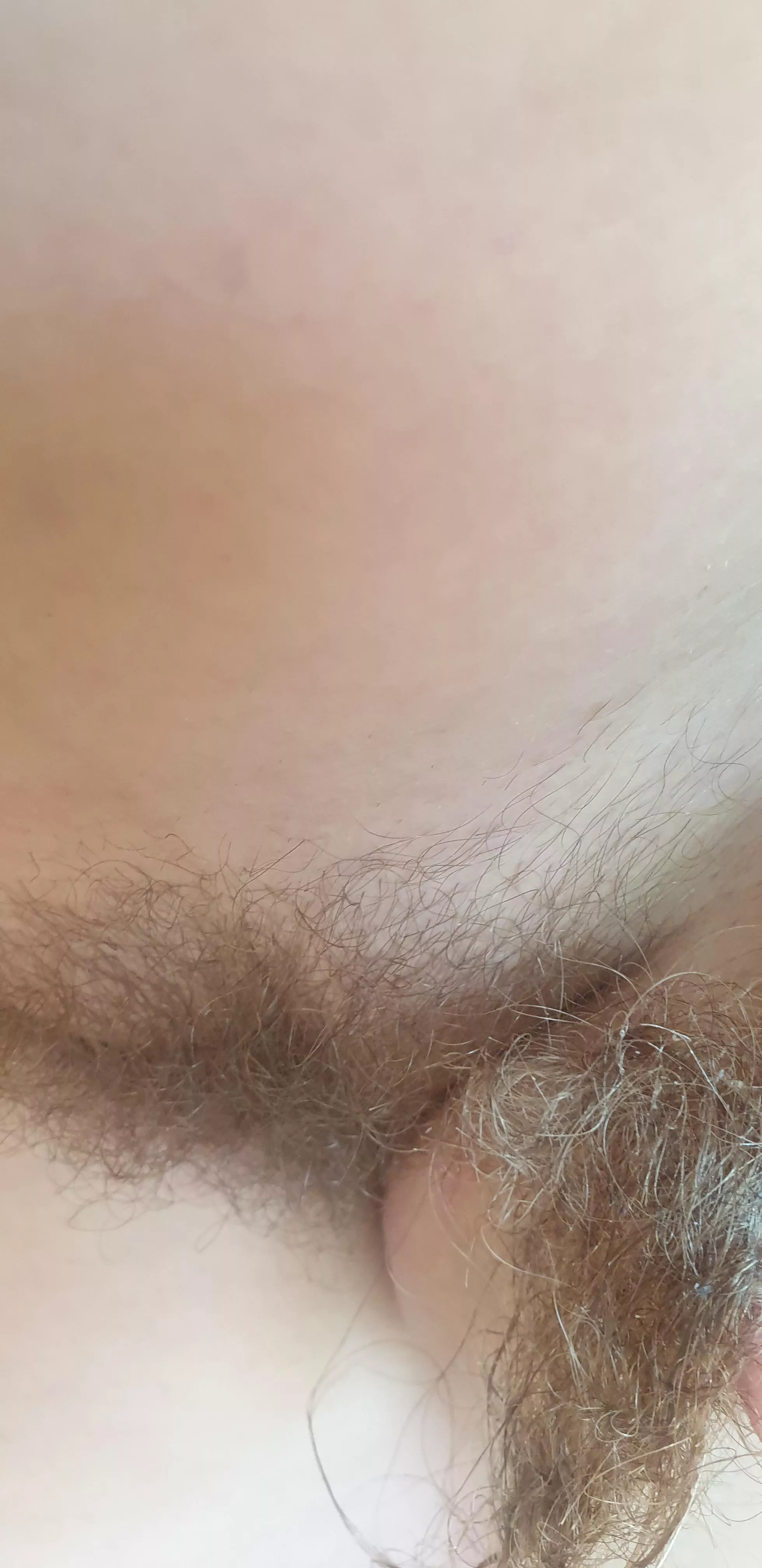 Ushaved Kiwi Milf ....the drapes match the carpet 😘 posted by naturalbushblondieNz