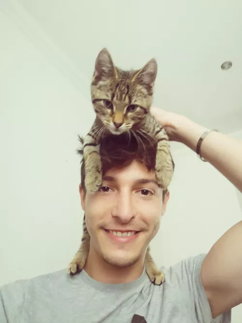 Using the cuteness of the cat to make my pic nicer by tocdure