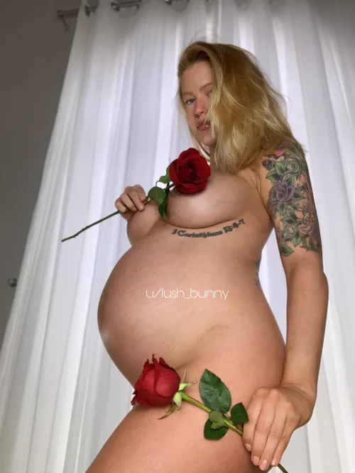 Valentine’s Day is around the corner 🌹 by lush_bunny