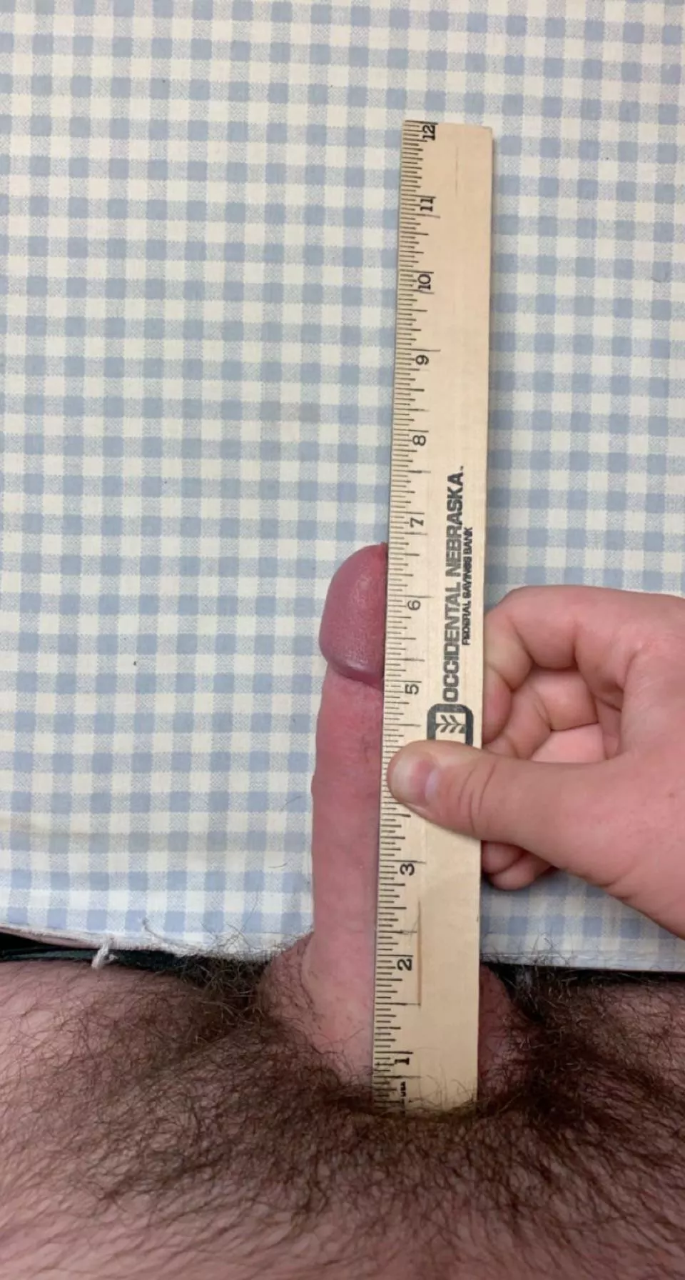 valid 6.5? it looks small to me posted by serb-eire