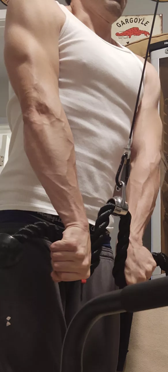 Vascular during warmups posted by RJRAuto