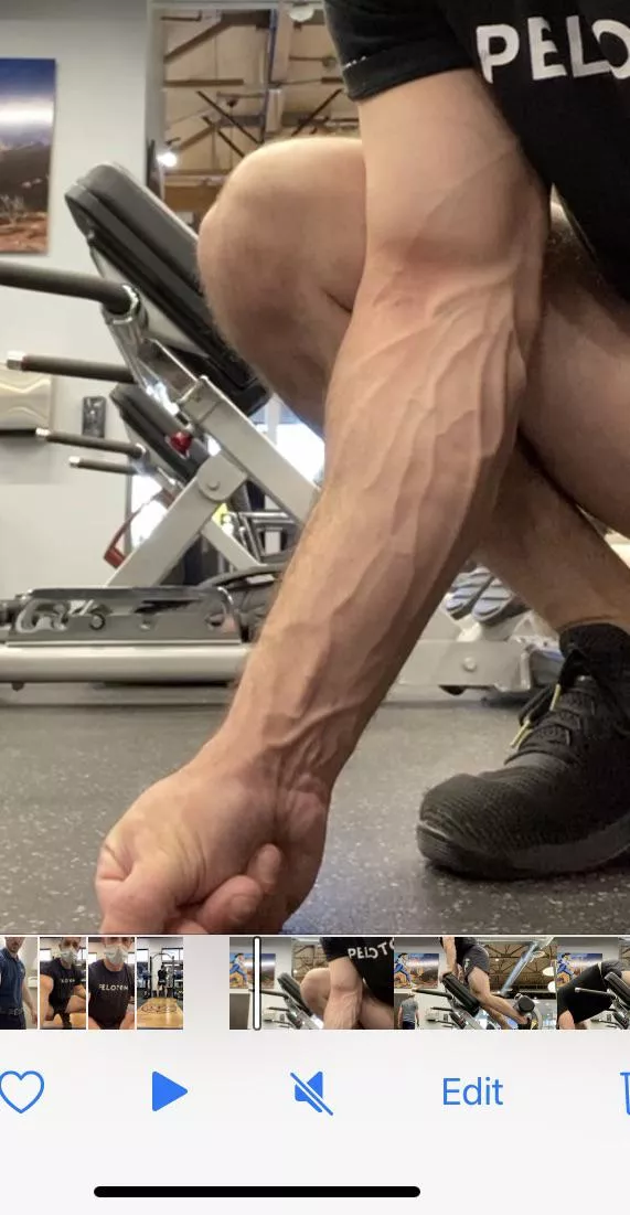 Vascular this morning posted by nighthawk0505