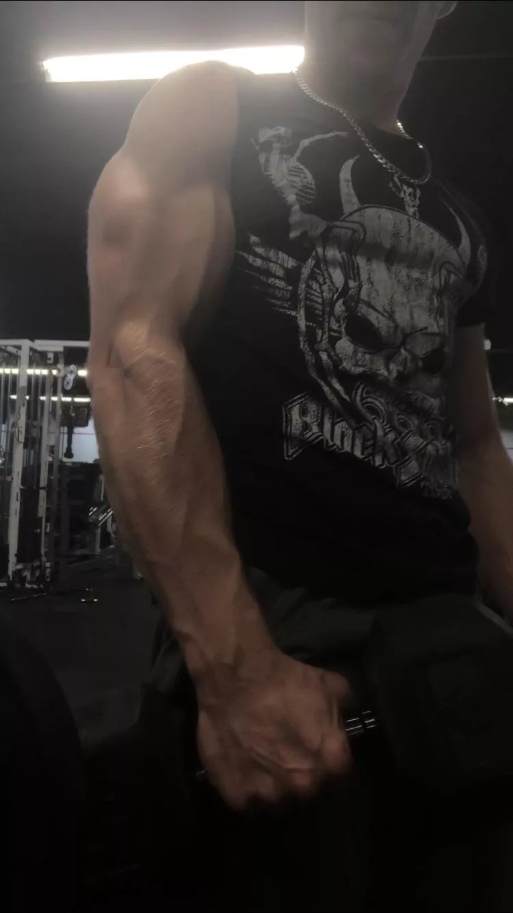 Vascularity is coming in posted by shmeckledeckle