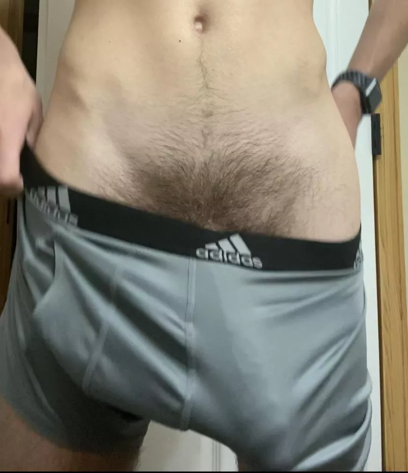 Veiny bulge posted by Various_Market_1692
