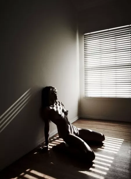 Venetian Blinds by Aardvarkszoohappy