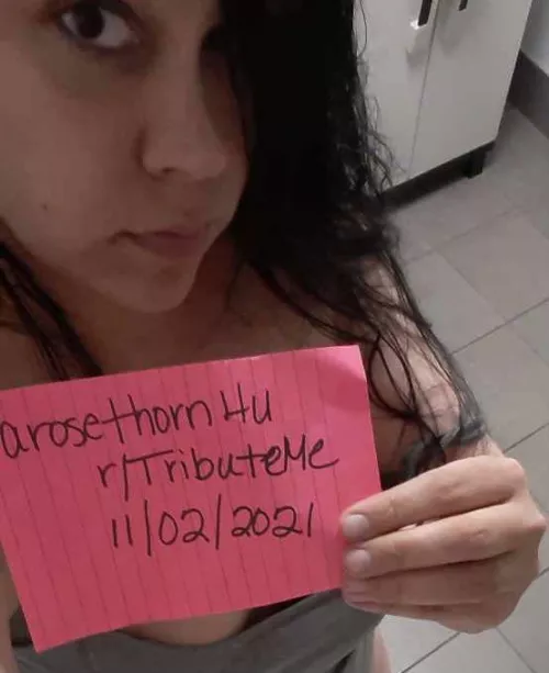 “[Verification]” by Arosethorn4u