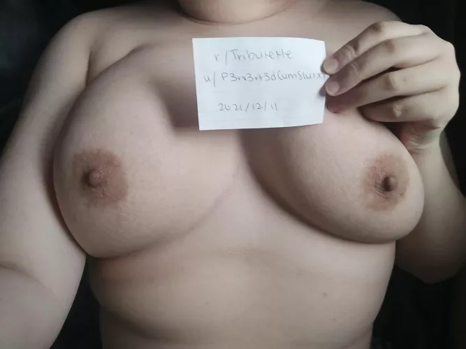 [Verification] I'd love to see how many cocks would shoot their cum all over these tits by P3rv3rt3dCumSlutxx
