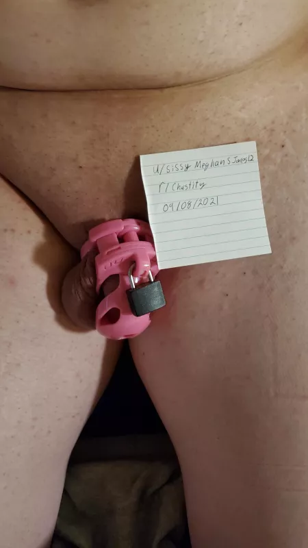 Verification by sissyMeghansjones12