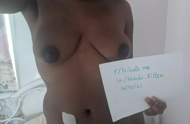 [Verification] by kandi_kitten