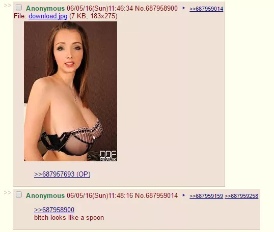 Very apt description of Lucie, courtesy of /b/ posted by maelstrom197