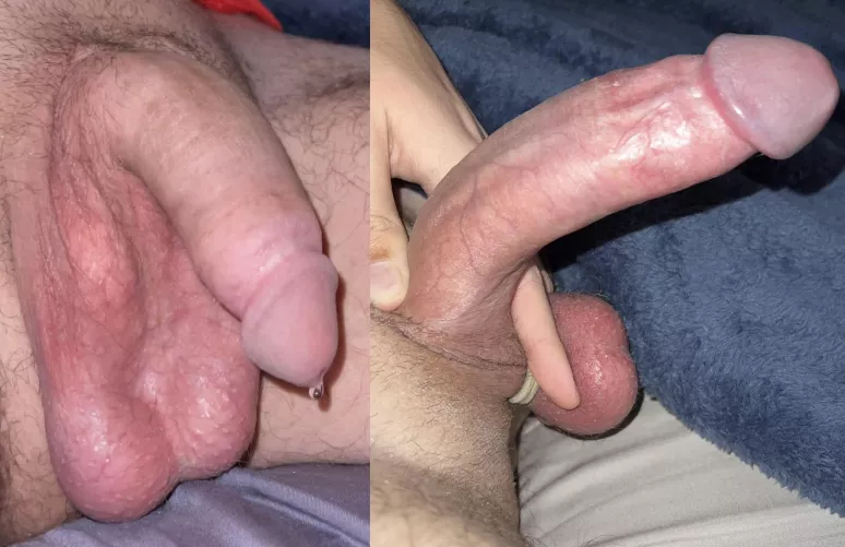 Very productive cake day lol by alt-account-08