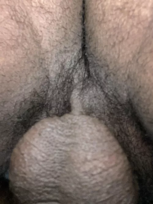 Very rare picture of my sack and hairy hole 😈🖤🍑🍆🍒 Who wants a taste? by BrownPoundcake2525