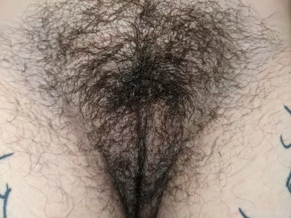 Very up close of my pretty hairy pussy. What would you do to it? [Oc] [f] by Blueocularfiend