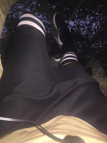 Vibing in the tree again by rundle-trundle