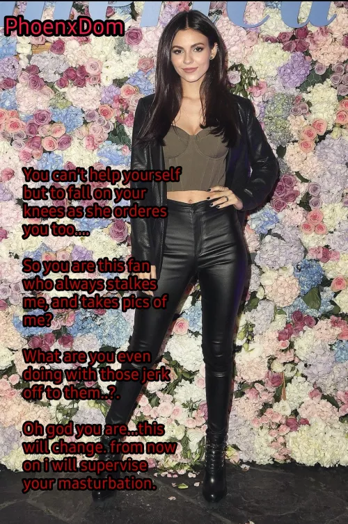 Victoria Justice is doesnt like it that you stalk her. by PhoenxDom