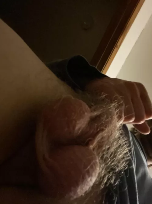 view from below by that1coin