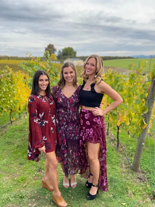 Vineyard by Ok-Satisfaction-2172