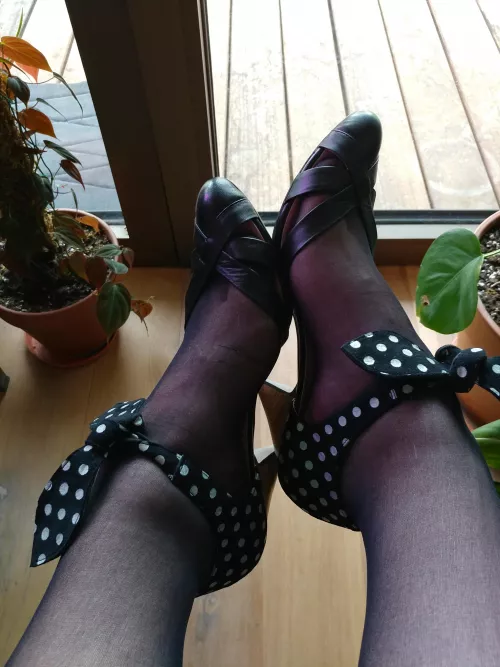 Vintage style heels with sheer nylons :) excuse the purple light - it's the grow lights for my plants! by curlykatiecupcakes