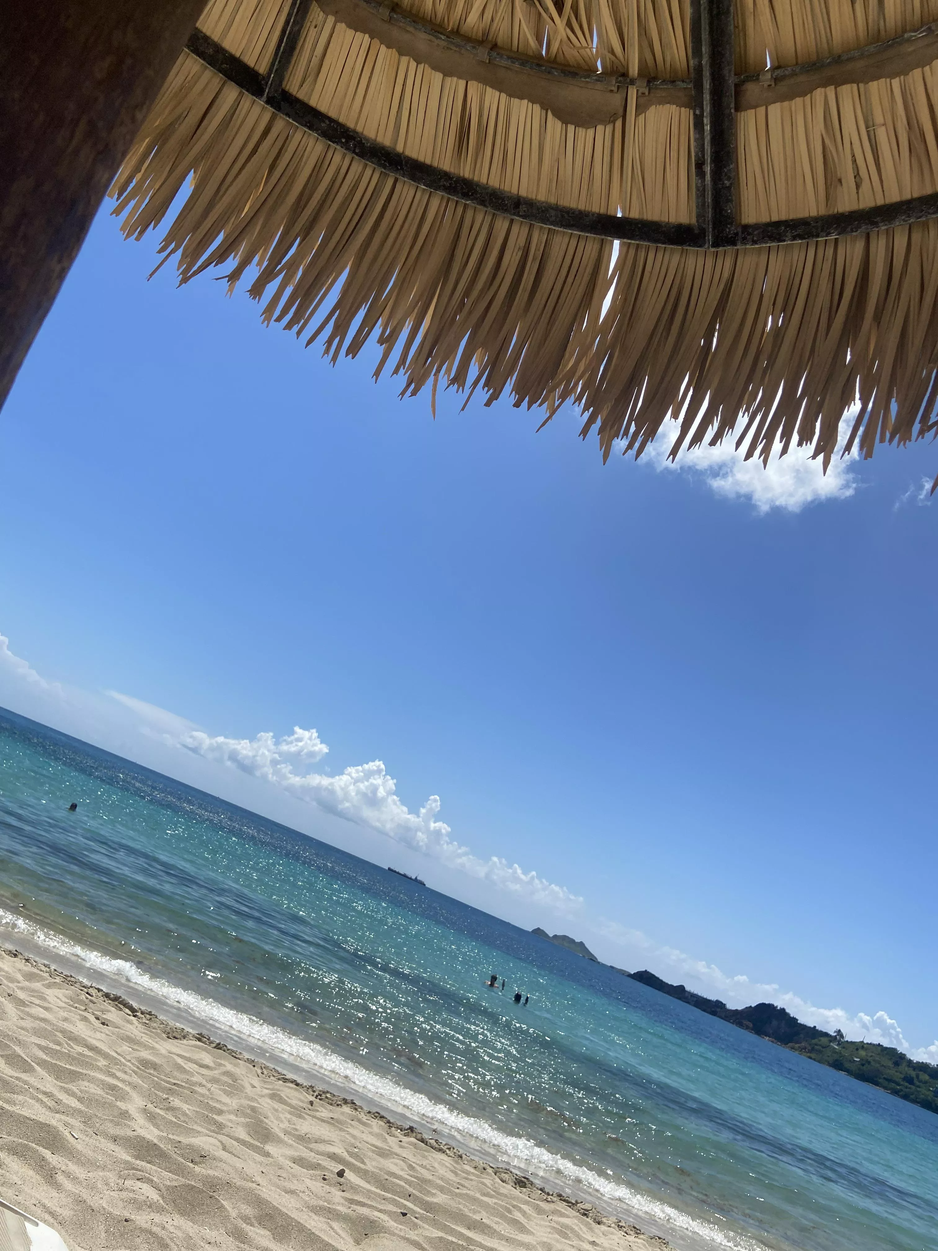 Virgin island 🏝 here to fuck posted by No_Tax_149