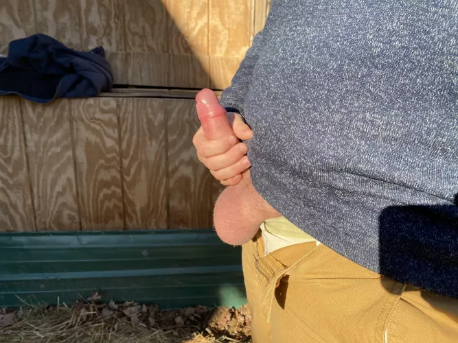 Vitamin d ☀️ by lumberjakeme