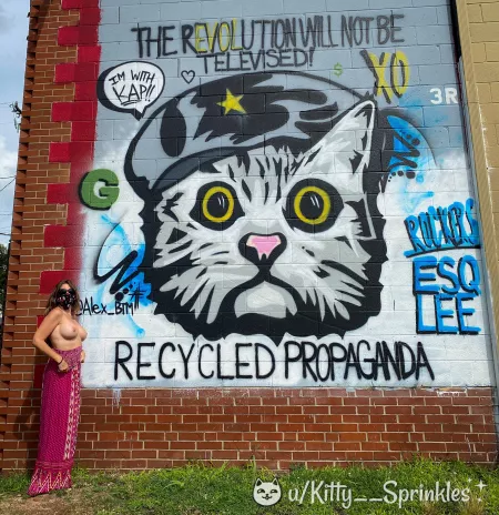 ¡Viva la Kitty! by Kitty__Sprinkles